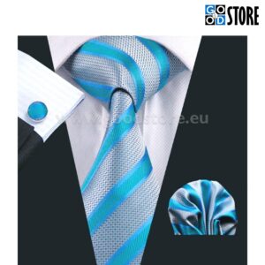 Luksusliku siidlipsu kinkekarp, esinduslik hõbehall harmoneeritud helesinisega